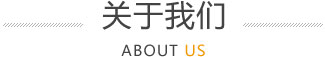 公司簡介